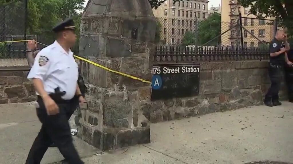 New York City man stabbed to death in Manhattan subway station - Cobra ...